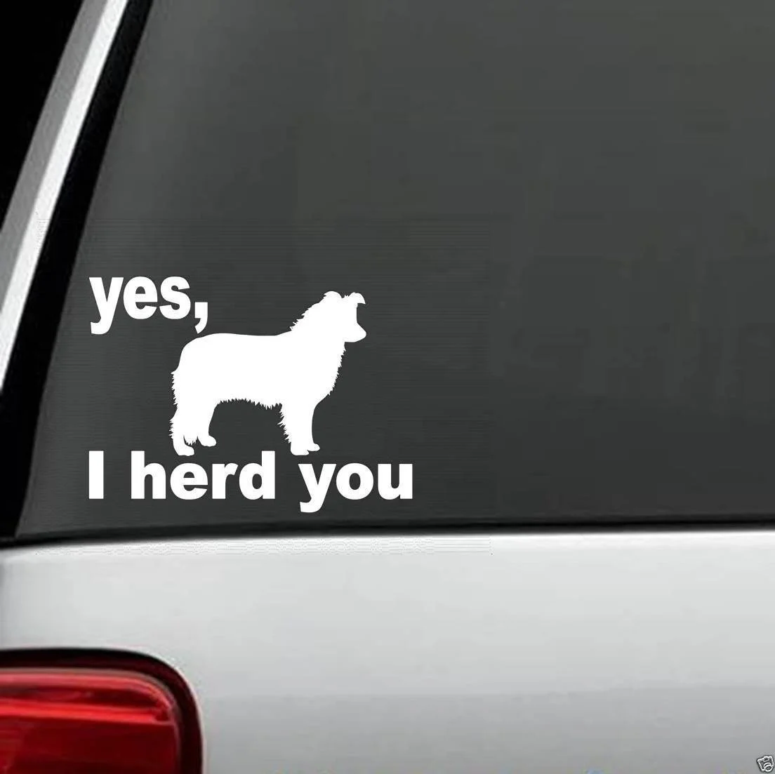

For I Herd You Border Collie Dog Decal Sticker Car Styling