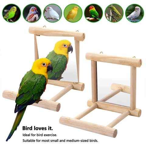 Зеркальце для птиц с деревянным окунем, Интерактивная подвесная игрушка, игрушка для попугая, волнистого попугая, попугая, кокер, раура, мелкий волнистый попугай, принадлежности для птиц