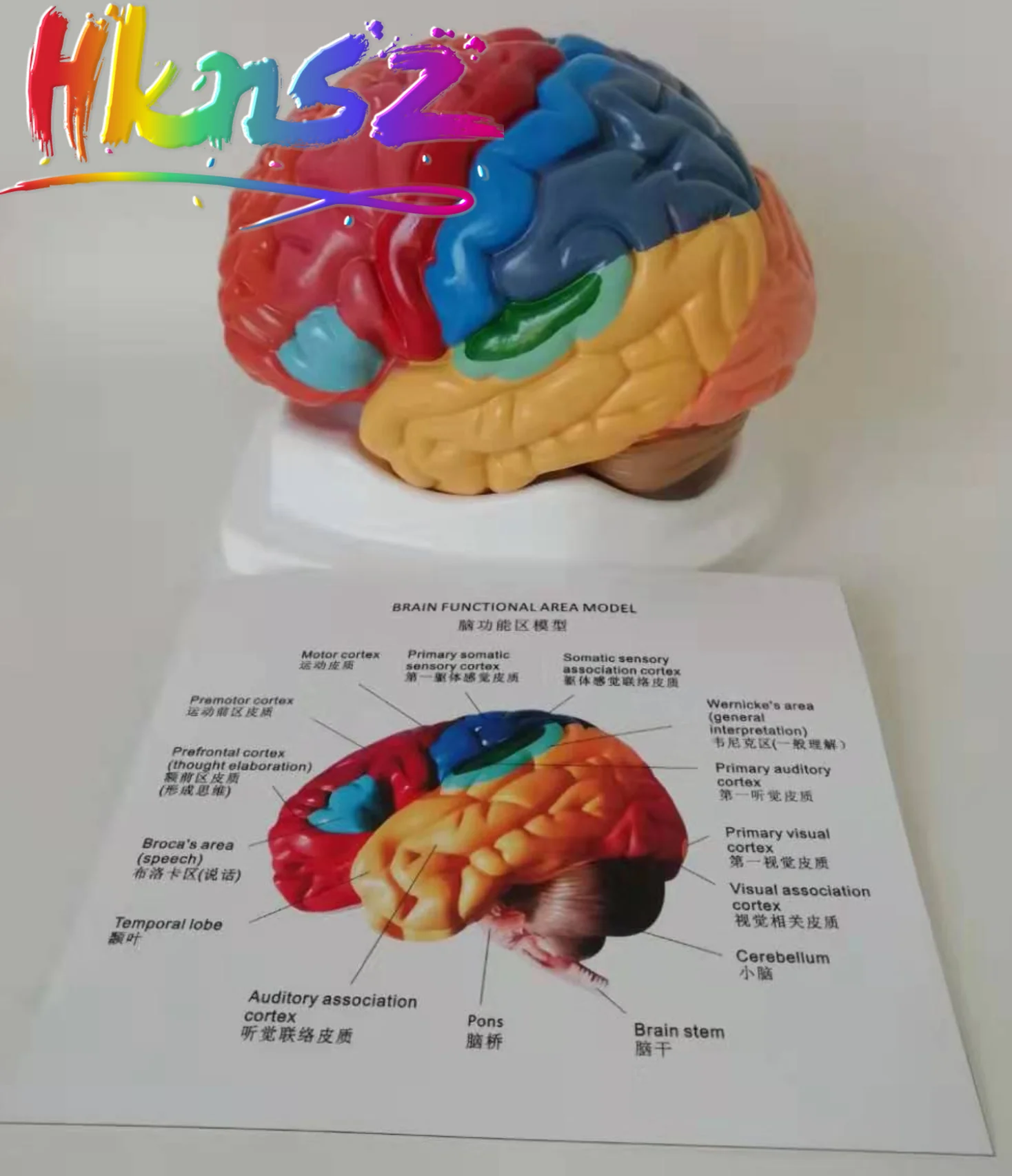 

Educational Equipment & Supplies