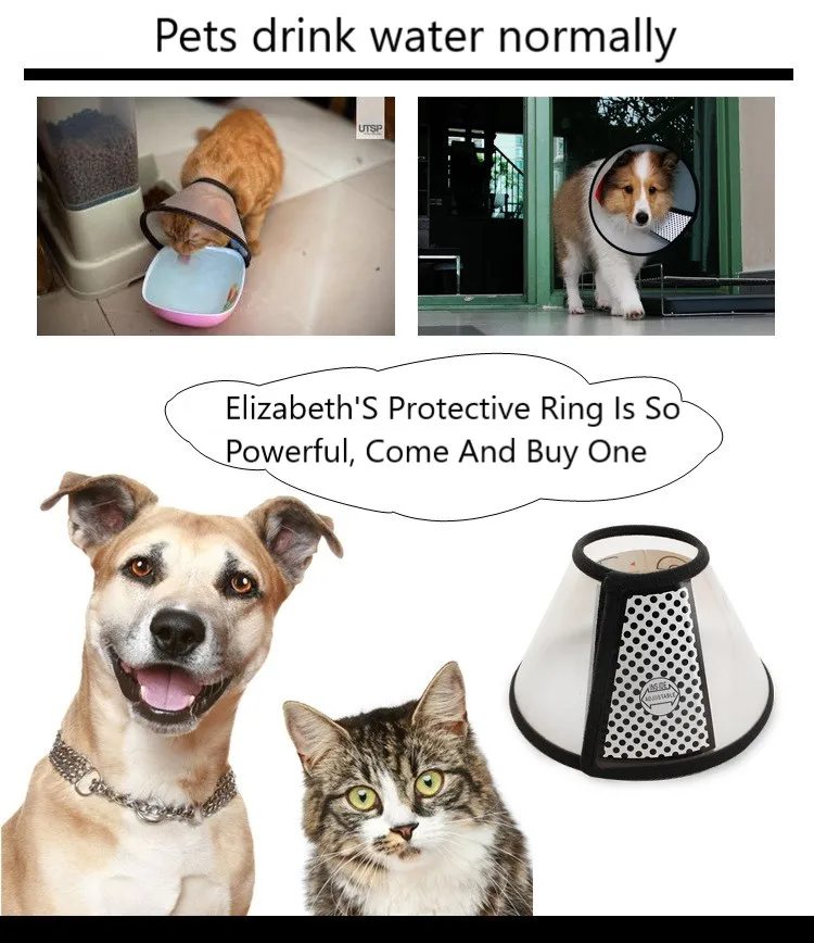 Головной убор для кошек и собак принадлежности домашних животных кольцо