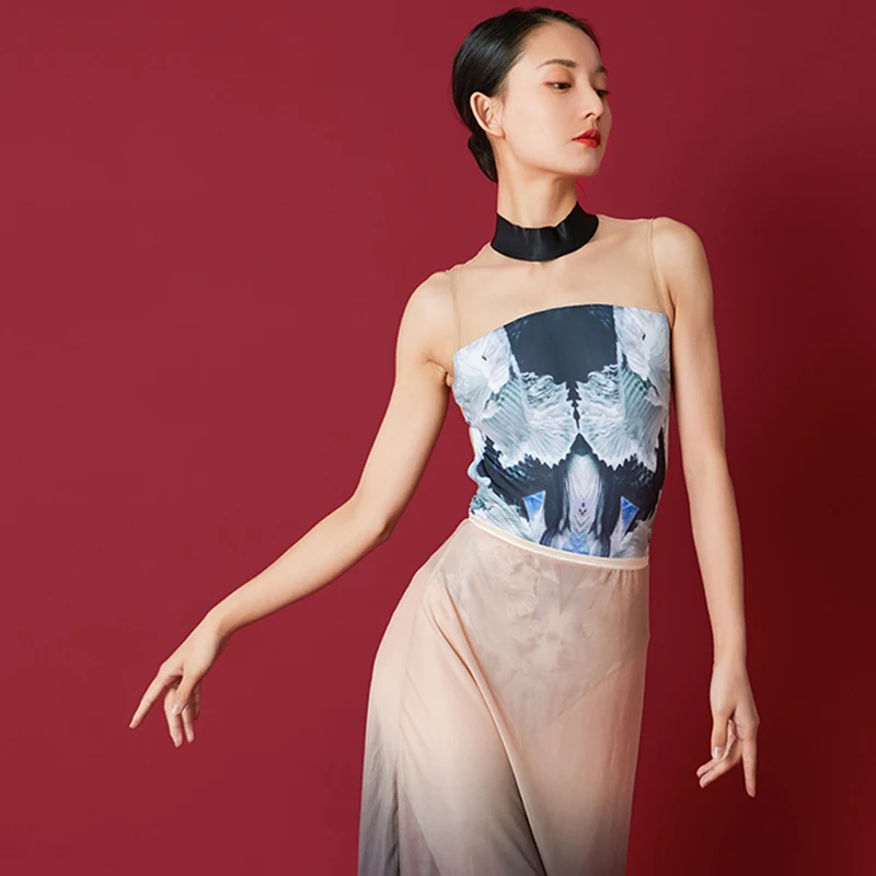 

2021 Ballet Dance Leotard Women Mesh Splicing Sleeveless Gymnastics Unitard Figure Skating Dress Ballet Performance Clothes