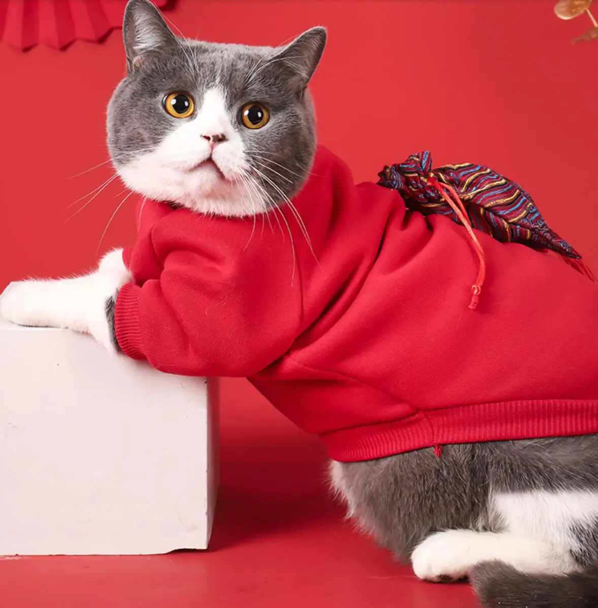 

Dog Cat Apparel Clothing Chihuahua Pug Sphinx For Small Dogs