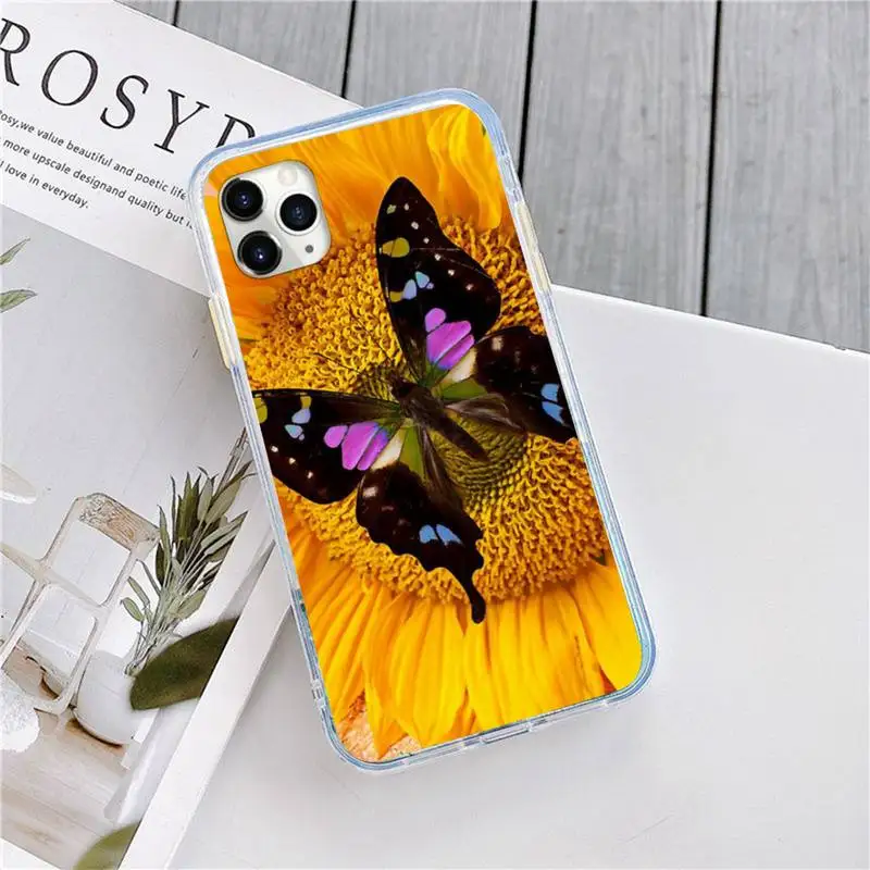 

colorful butterfly on white roses flower Phone Cases for iPhone 11 12 pro XS MAX 8 7 6 6S Plus X 5S SE 2020 XR