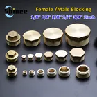 18 14 38 12 34 Наружная и внутренняя резьба, Латунная Труба, Шестигранная головка, заглушка, фитинг, быстроразъемный, латунный Универсальный переходник для крана