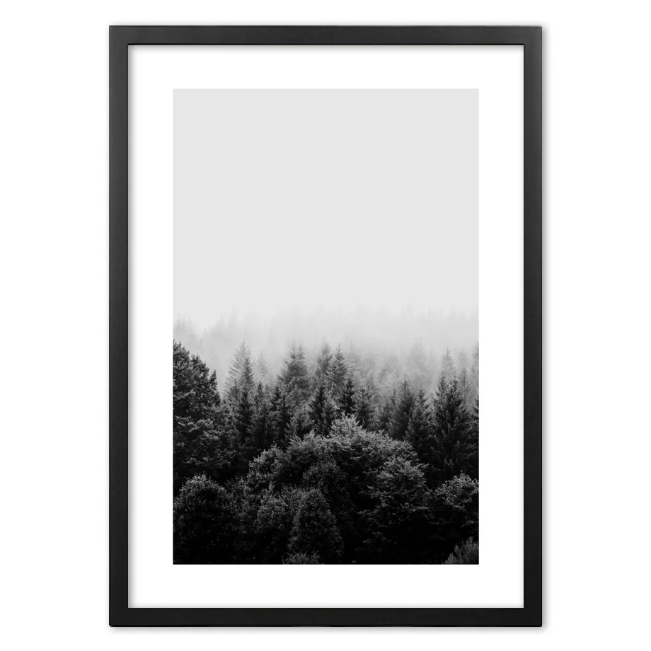 

Черно-белый лес, пейзаж, фотография, настенная бумага, живопись, пейзаж, настенные картины для гостиной, Декор