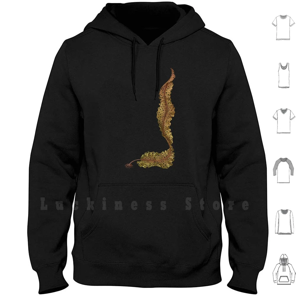 Sea Colander Hoodie Agarum Cribosum Kelp Shotgun Seaweed Weed Marine