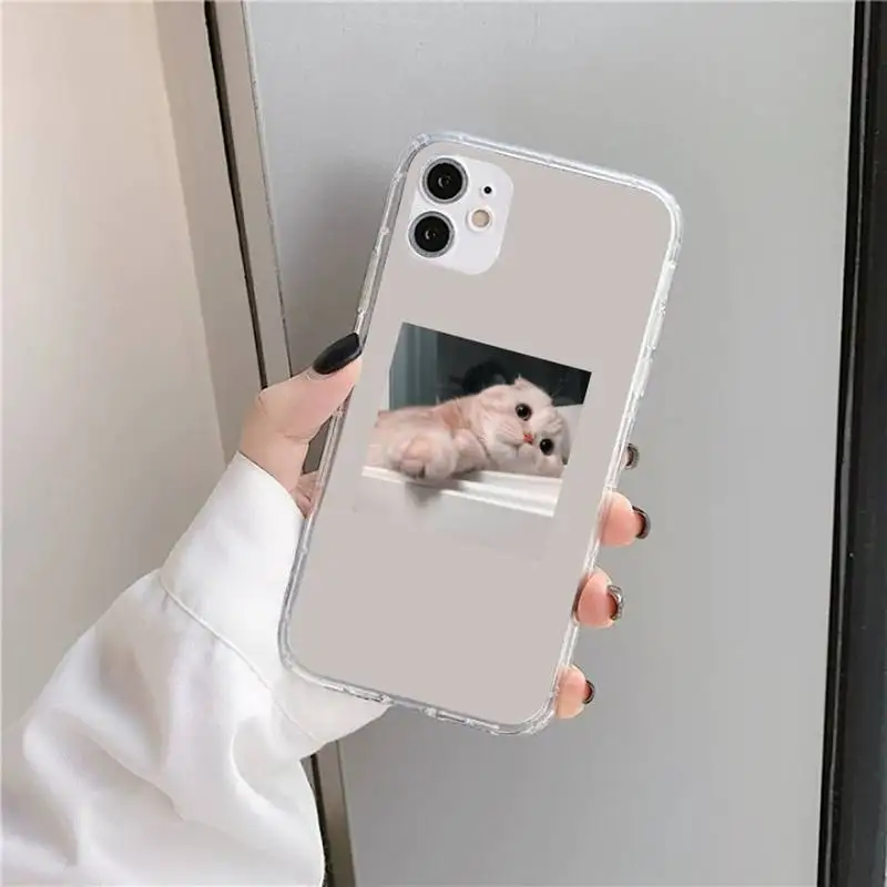 

Pink Aesthetic cute cat Phone Case Transparent for iPhone 11 12 mini pro XS MAX 8 7 6 6S Plus X 5S SE 2020 XR