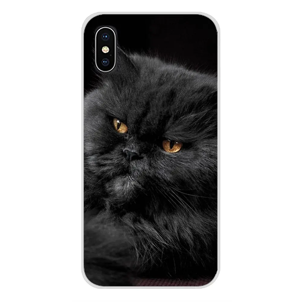Серый Кот милые животные для samsung Galaxy A3 A5 A7 A9 A8 Star A6 Plus 2018 2015 2016 2017 аксессуары чехлы