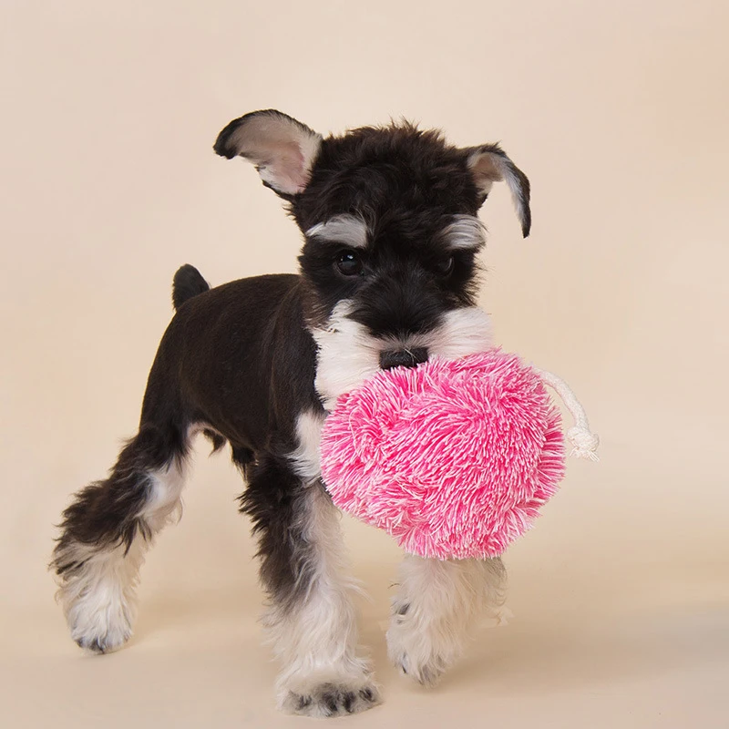 

Dog Toy New Pet Chew Interactive Toy Creative Long Hair Expression Land Mine Pet Gift Schnauzer Voice Plush Toy