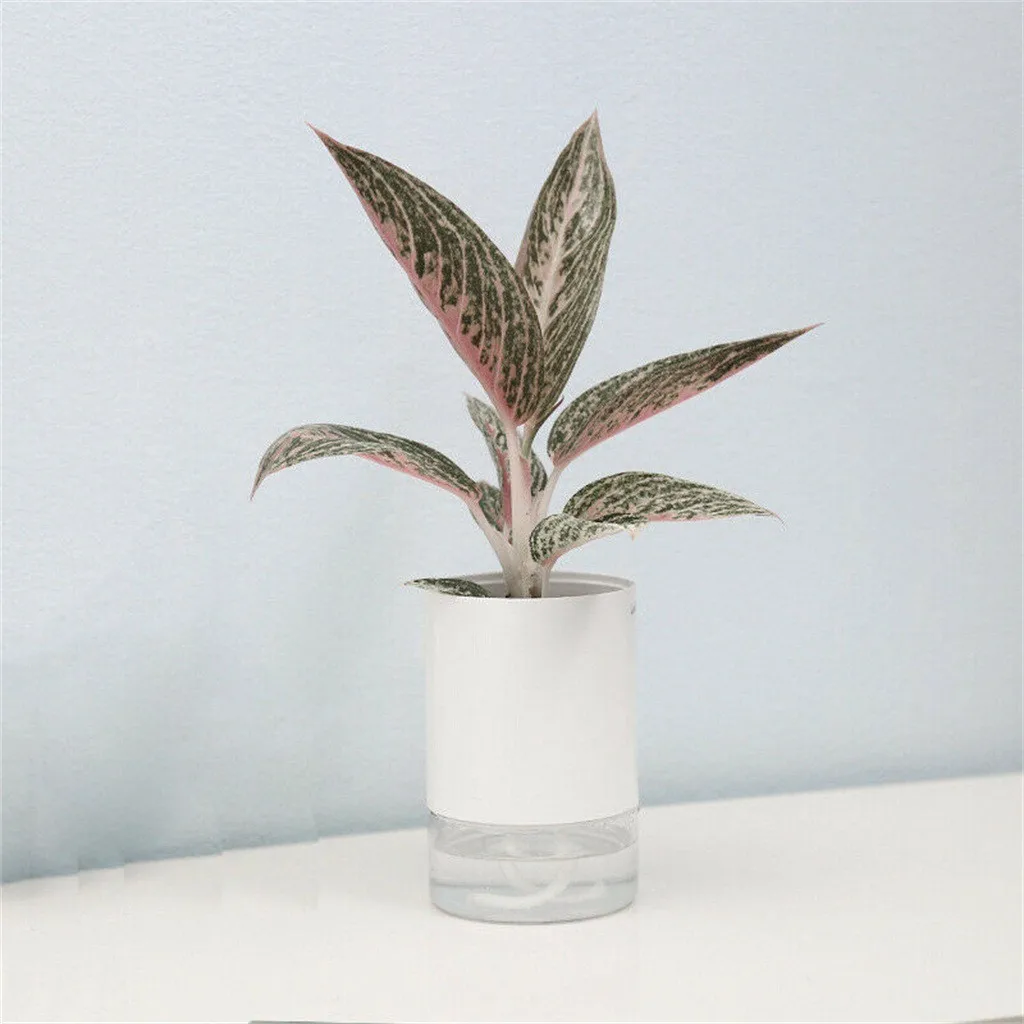 Цветочный горшок для растений двойная прозрачная пластиковая гидропонная ваза