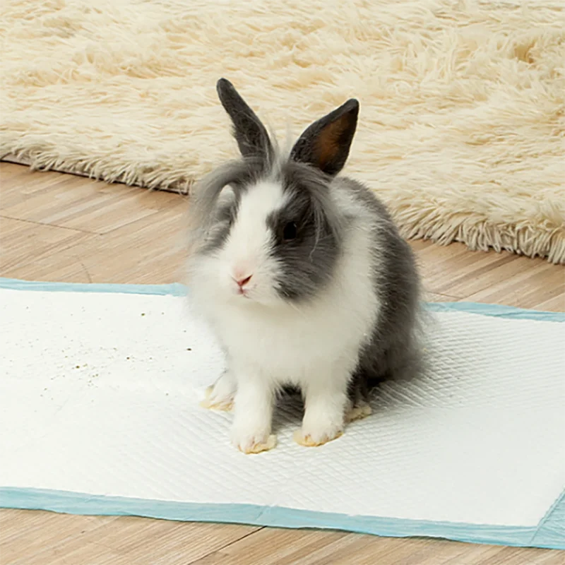 Подгузник с кроликом Утолщенные дезодорирующие впитывающие подгузники