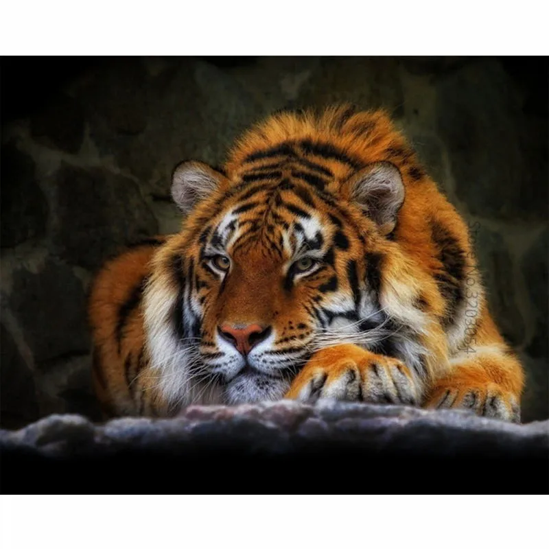 

Framed DIY Painting By Numbers Tiger Acrylic Painting Modern Picture Home Decor For Living Room 40x50cm