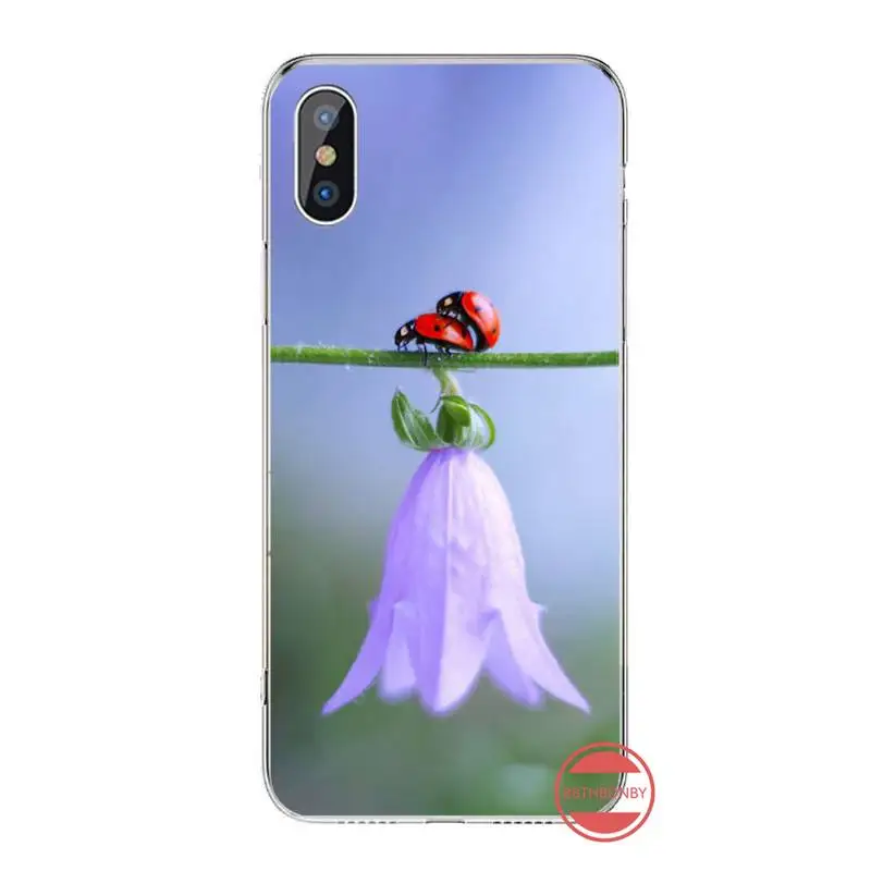

four leaf ladybug daisy fundas Phone Case For iphone 12 5 5s 5c se 6 6s 7 8 plus x xs xr 11 pro max