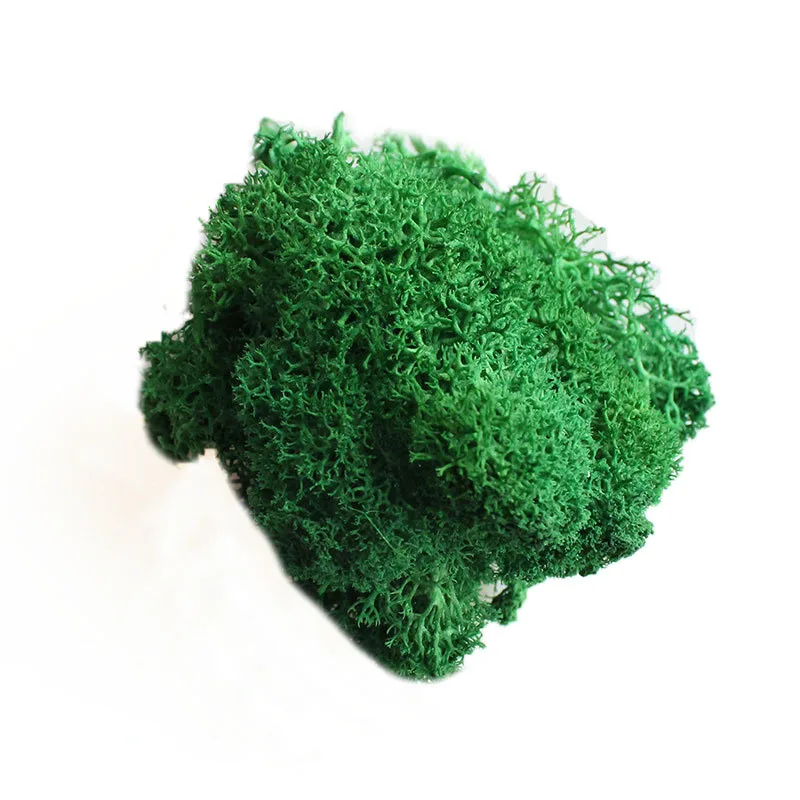 Deep-green Йо Чо натуральный норвежский олень мох консервированный сушеный ремесло цветок тычинки украшение свадебное украшение для сказочного сада декор мускус - Цвет: Deep-green