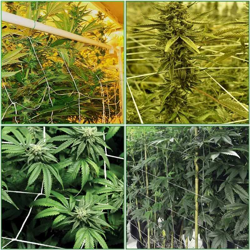 

4 Pcs 5 x 30 Feet Plant Trellis Netting Polyester Plant Support Vine Climbing Outdoor Growth Net for Grapes Tomatoes