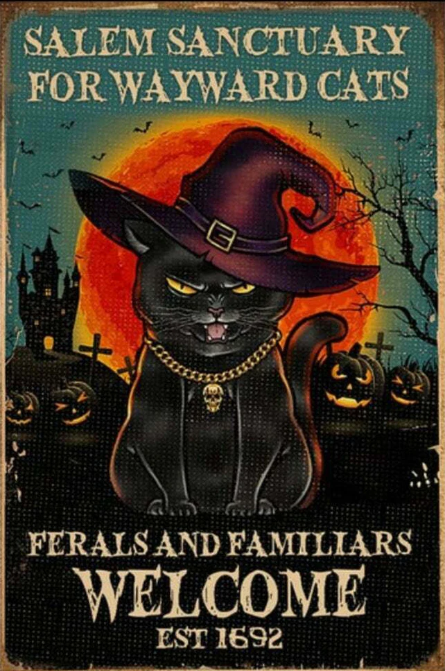 Заповедник Салем для вайуорда котов фермалов черная кошка ведьма Хэллоуин