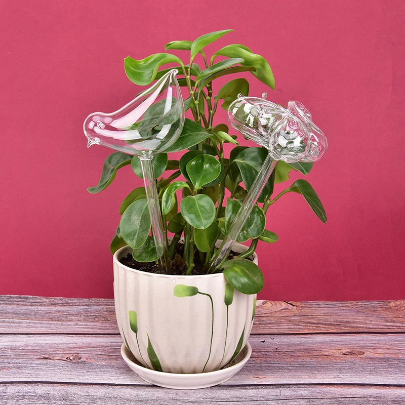Protable Glass Plant Flowers Water Feeder Self Watering Bird Design Waterer 6 Types Decor Cans | Дом и сад