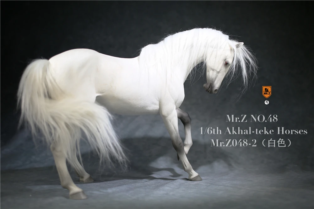 Mr.Z Animal 1/6 Akhalteke Horses Statue Ahalteke Equidae Collector Model Toy Desktop Ornaments Decoration Dolls Kids Gifts |