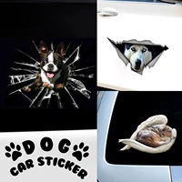 3d stereo anime fashion car stickers funny creative personality dog simulation stickers car styling accessories 2030cm
