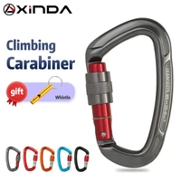 outdoor professional rock climbing carabiner 25kn lock d shape safety buckle safety protection carabiner equipment
