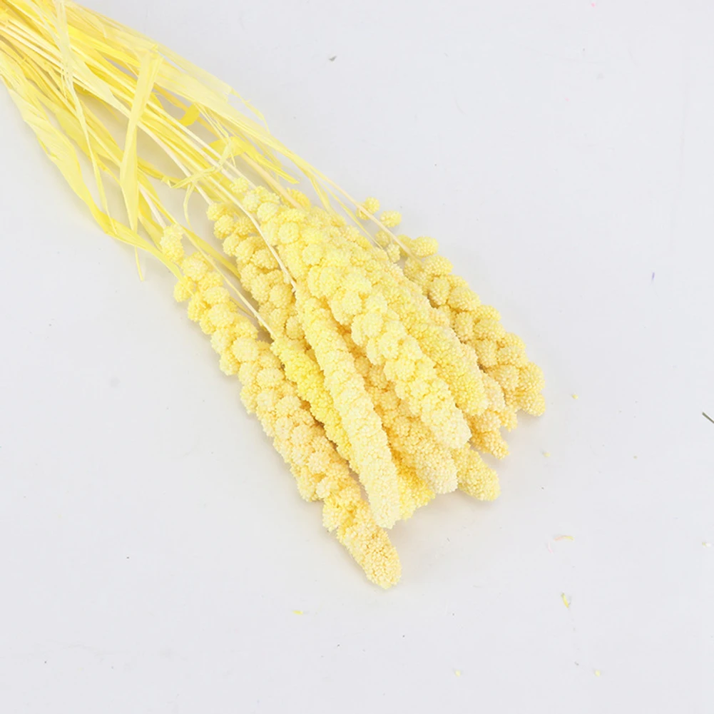 10 шт. Натуральные Сушеные свежие цветы в комплекте консервированный цветок из