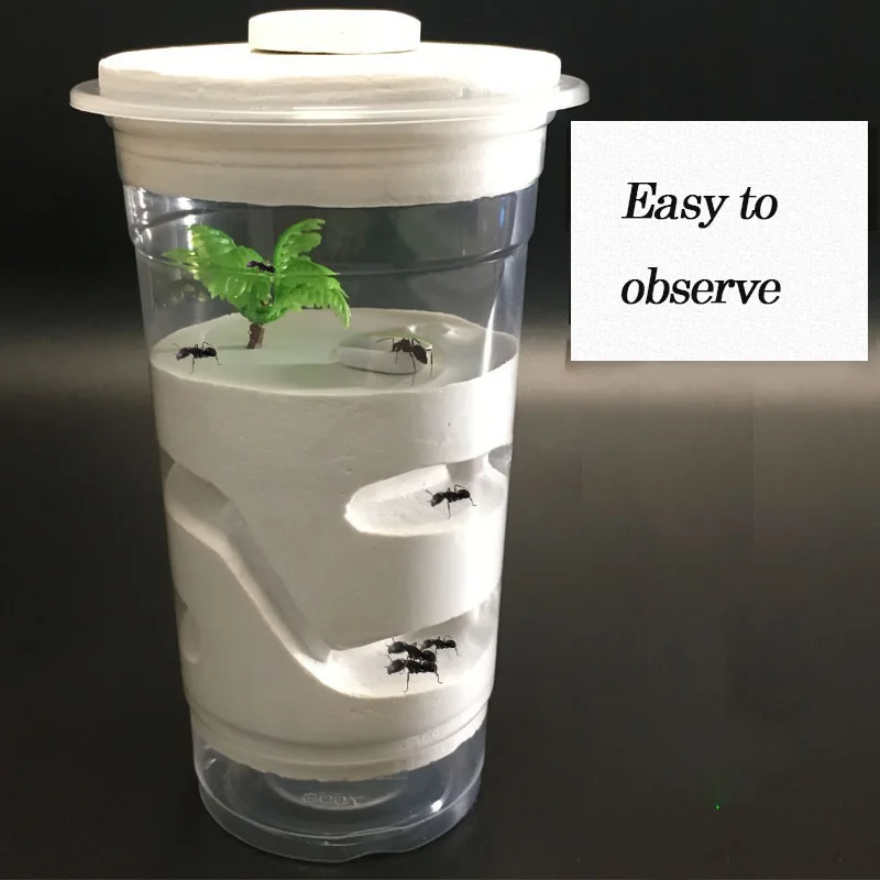 

NEW Pet Ant Plaster Nest/box/castle Insect Supplies Simple Feeder Tweezers