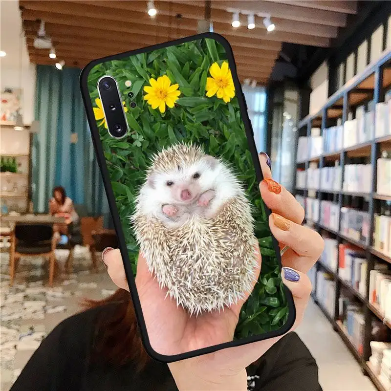 

lovely Hedgehog CUTE animal Phone Cases For Samsung A50 A51 A71 A20E A20S S10 S20 S21 S30 Plus ultra 5G M11 funda cover