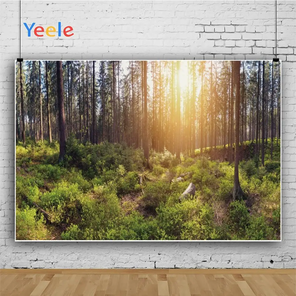 Фоны для фотосъемки Yeele с изображением пейзажа леса лужайки солнечного света