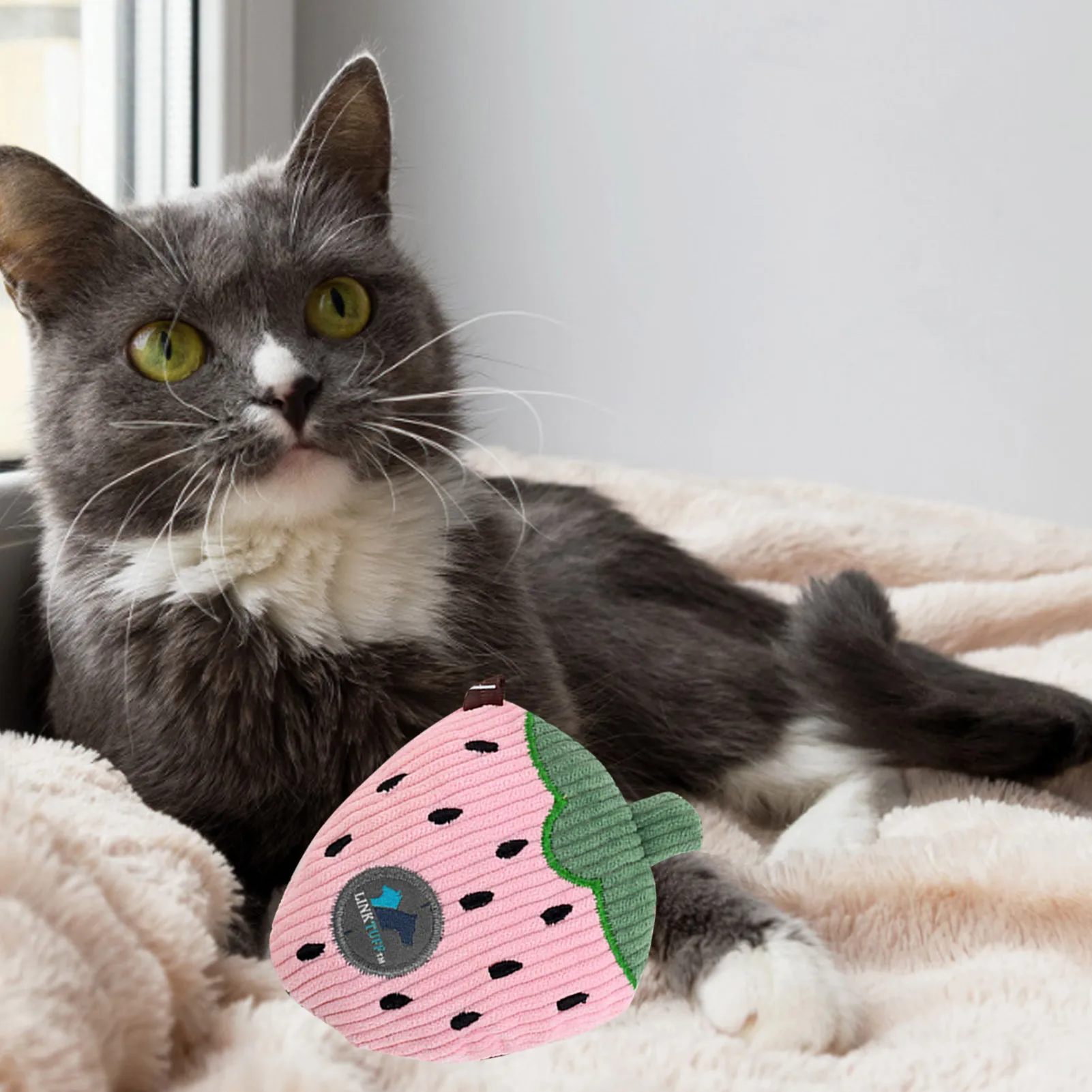 Кошачьи игрушки плюшевые фрукты Форма жевательная игрушка когти с накатанной