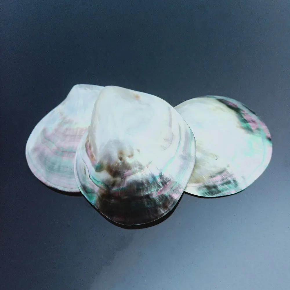 Натуральные ракушки черная швабра украшения сделай сам морские пляжные