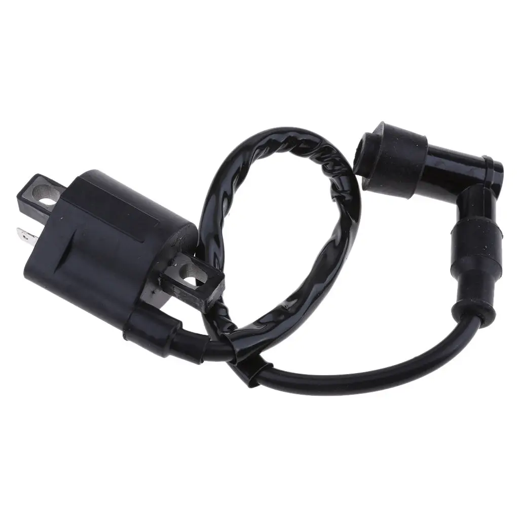 

1 Piece CDI Ignition Coil Motorcycle Electric Ignition Black Ignition Coil For