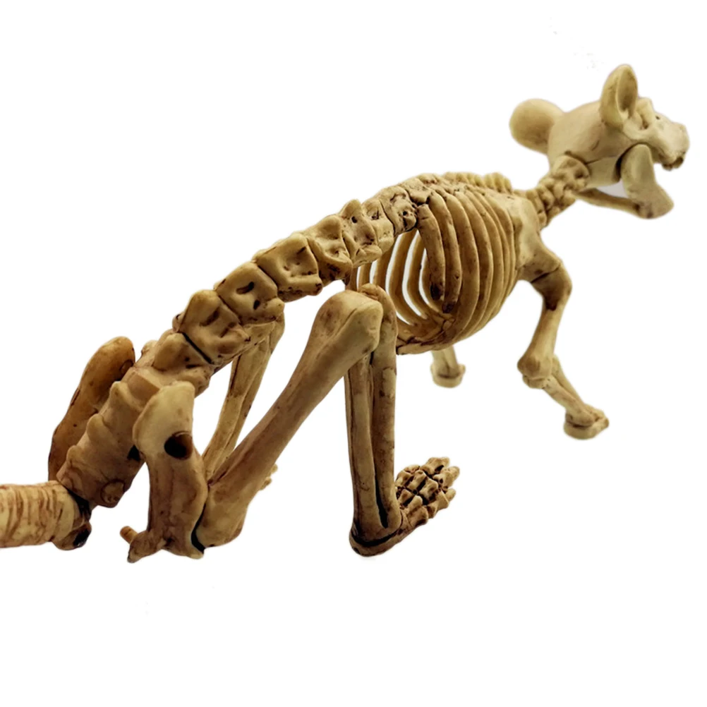 Модель скелета для сборки на Хэллоуин мышь летучей мыши паук ворона игрушки