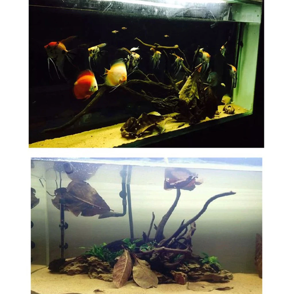 10 шт. индийские листья миндаля для бетты стимулируют разведение и повышают