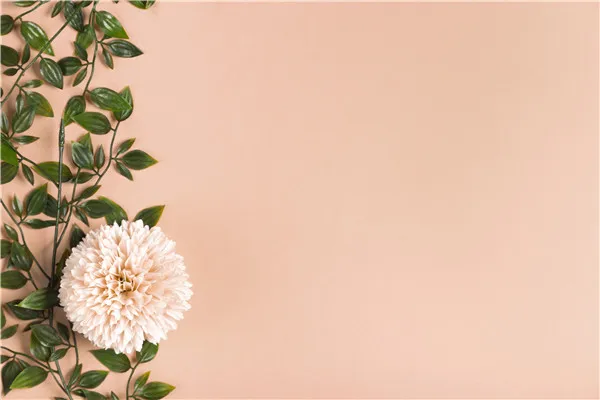 

Vinyl Custom Photography Backdrops Props Flower and Wood Planks theme Photo Studio Background 20212-5866