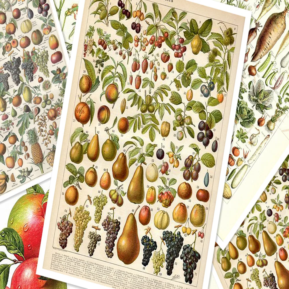 Сердечные фрукты \ овощи Дыня Плакаты стикер на стену 30х42 см Ностальгия Ретро