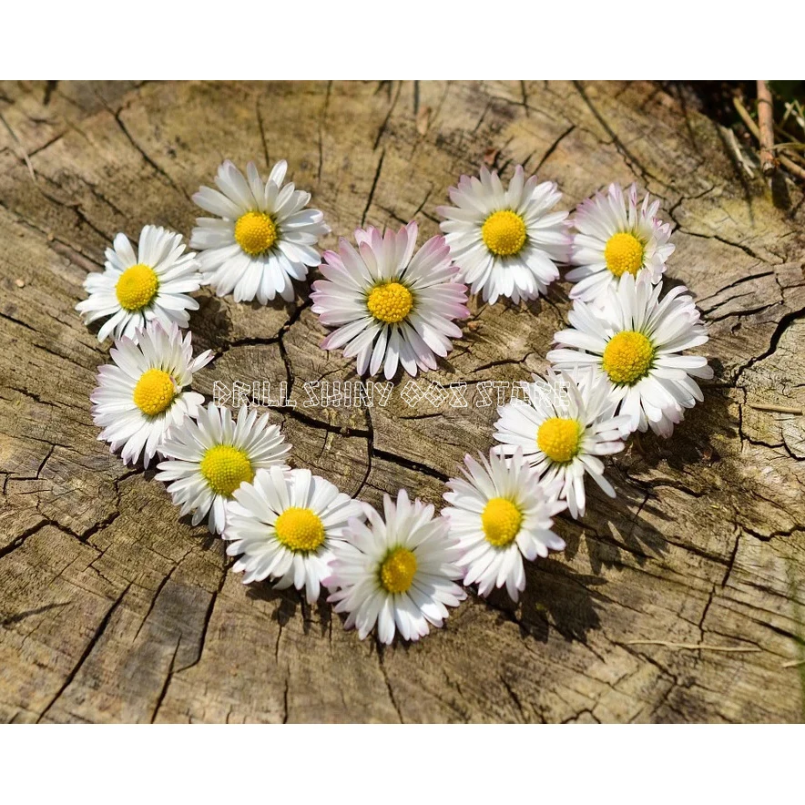 Алмазная 5D картина сделай сам деревянная хризантемы цветок любви вышивка