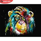HUACAN DIY Краска по номерам Обезьяна Животное акрил для взрослых краска по номерам шимпанзе для украшения дома 40х50см
