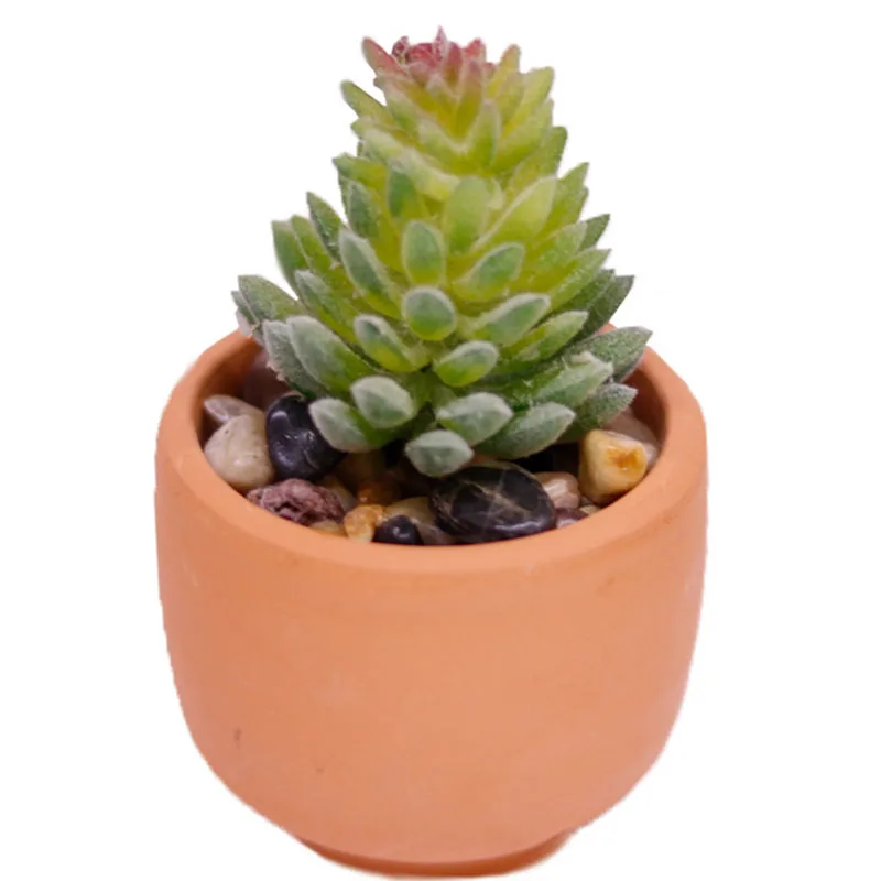 Прямые продажи имитация искусственного растения подоконник для кафе креативное