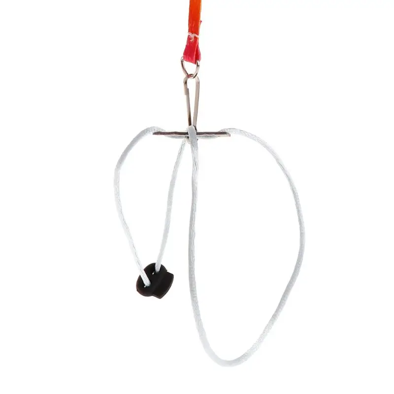 Поводок для маленьких домашних животных 1 3 м | Дом и сад