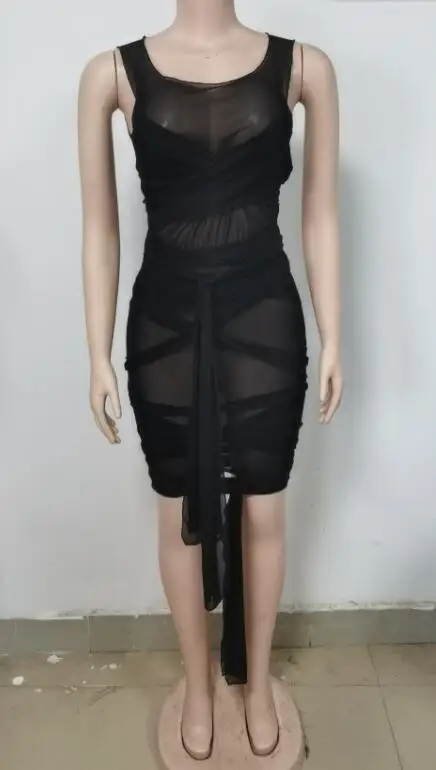 

Women Elegant Summer Dress Ruched Design Sheer Mesh Sleeveless Bodycon Dress