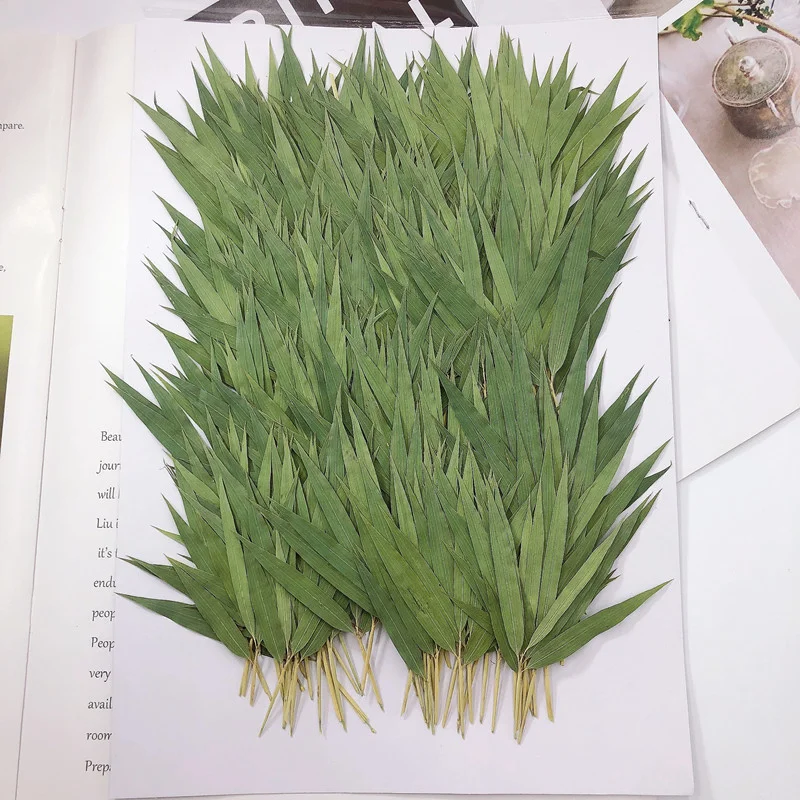 Бамбуковый лист Настоящий образец растения Обучение Сделай сам Свеча Ручное падение клея Мобильный телефон Чехол Фоторамка Закладка.