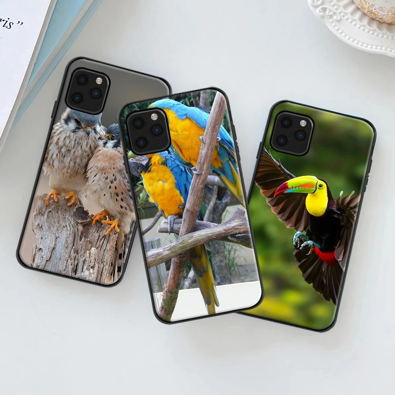 

Cute Animal Bird Rainbow Phone Case For iPhone 11 12 13 Pro Max XS MAX XR X 6s 7 8 Plus SE 2020 Soft Silicone Back Cover Fundas