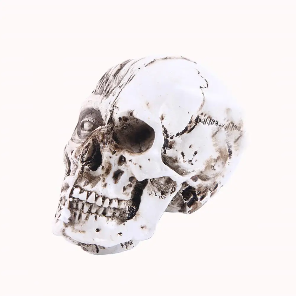 Искусственный череп из смолы модель искусственный Скелет человека декоративный