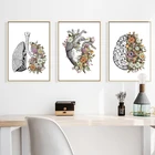 Плакаты и принты в стиле ретро, Настенная картина с анатомическими цветами, сердцем, мозгом, украшение для клиники