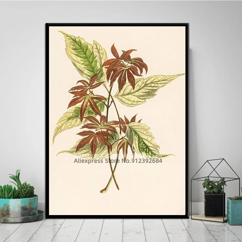 Зеленая растительная Настенная картина травяной плакат растения Coleus Seersucker