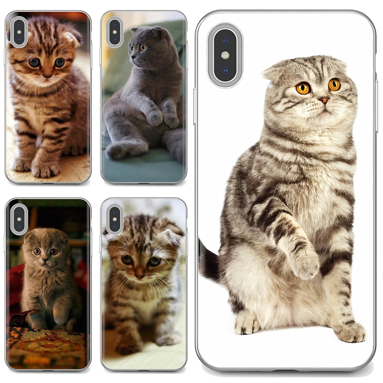 

Scottish fold cat Felis catus Scotland Soft Cover For iPhone 10 11 12 13 Mini Pro 4S 5S SE 5C 6 6S 7 8 X XR XS Plus Max 2020
