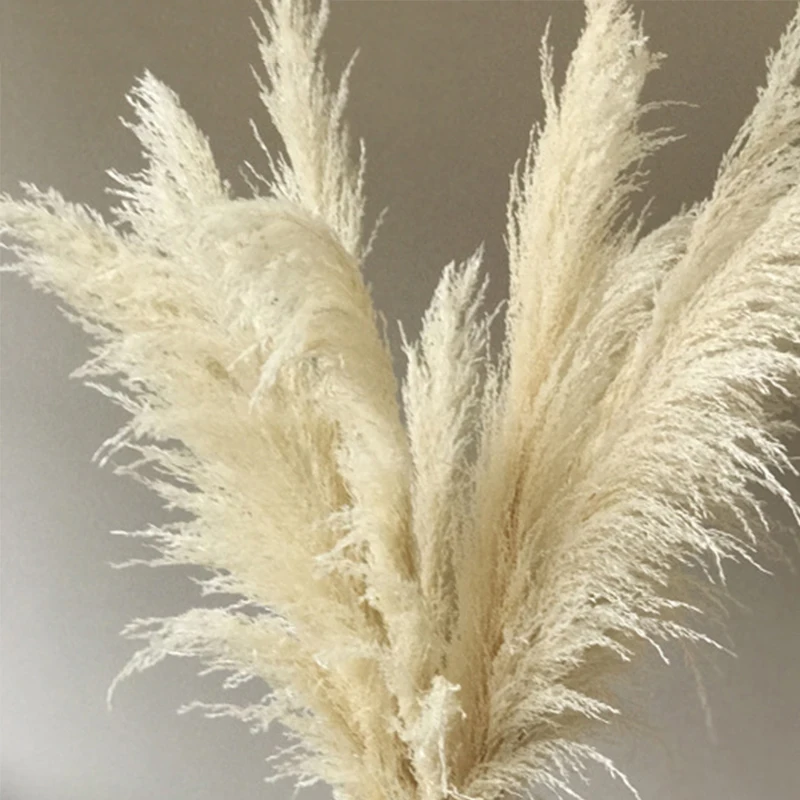 1 шт. розовый тростник труба Сушеный Цветок шипы сушеные цветы Роскошный домашний