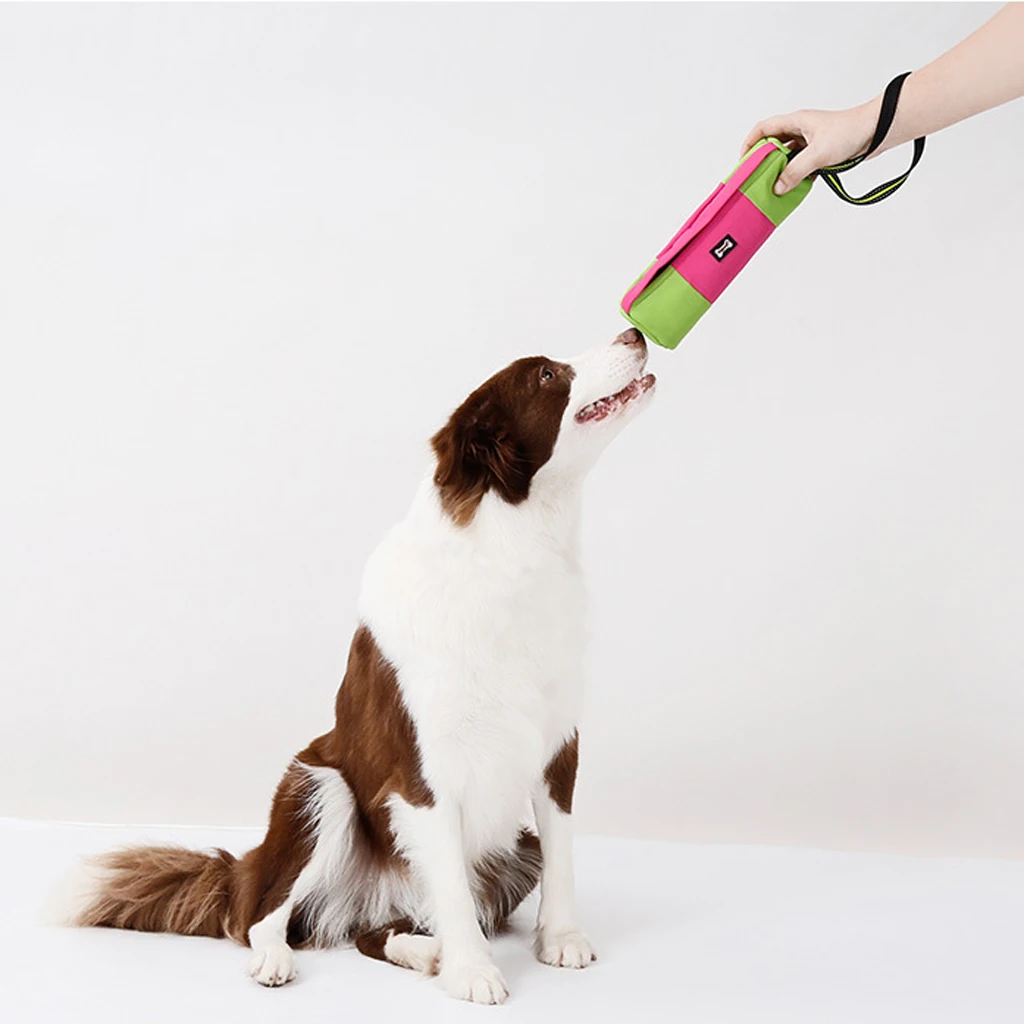 

Сумка для дрессировки лакомства для собак, сумка для тренировок для домашних животных, легко переносится