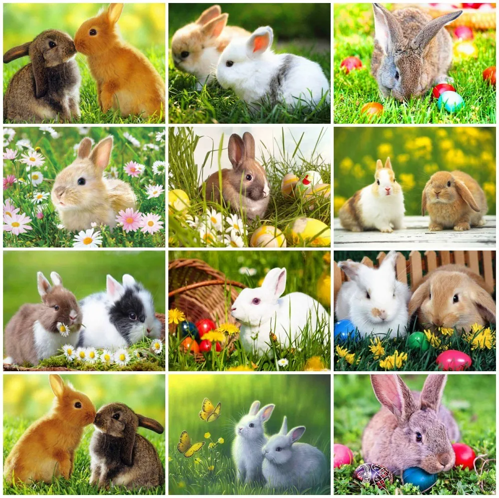 

AZQSD Алмазная картина кролик мозаика полный квадрат дрель картина Стразы DIY Алмазная вышивка Продажа животное украшение дома