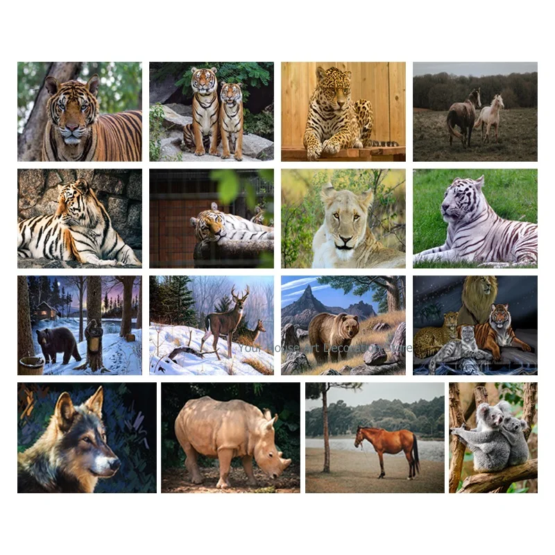 

5D Diamond Painting Animals Full Square Diamond Embroidery Koala Rhinoceros Pictures of Rhinestones Home Decor